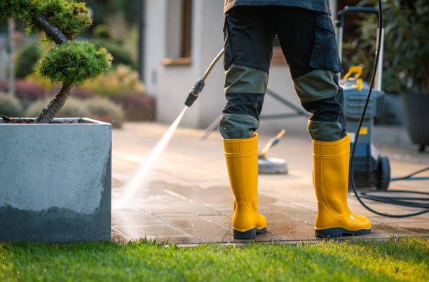 Best Exterior Home Cleaning  in Wautoma, WI